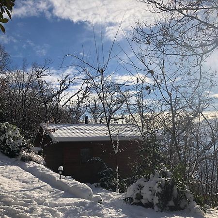 "La Romantica" Rifugio Nel Bosco Astano Extérieur photo