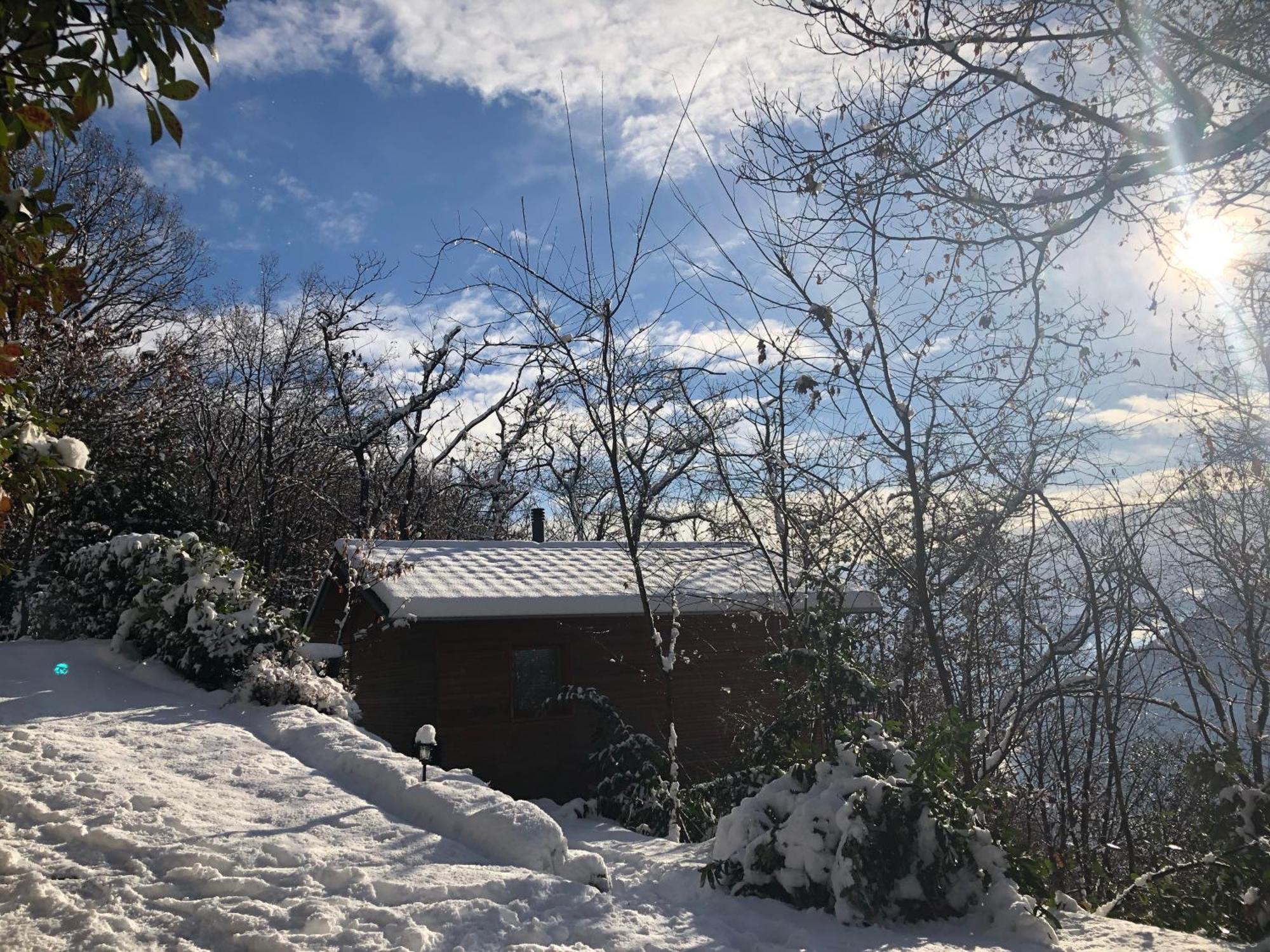 "La Romantica" Rifugio Nel Bosco Astano Extérieur photo