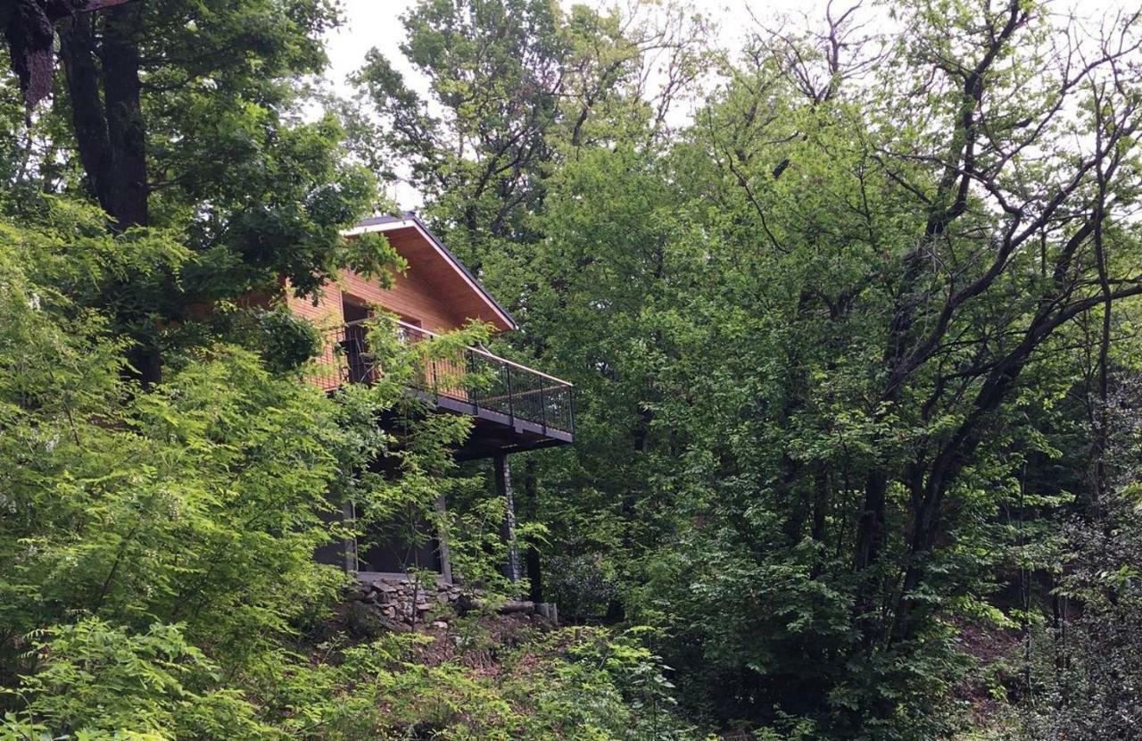 "La Romantica" Rifugio Nel Bosco Astano Extérieur photo